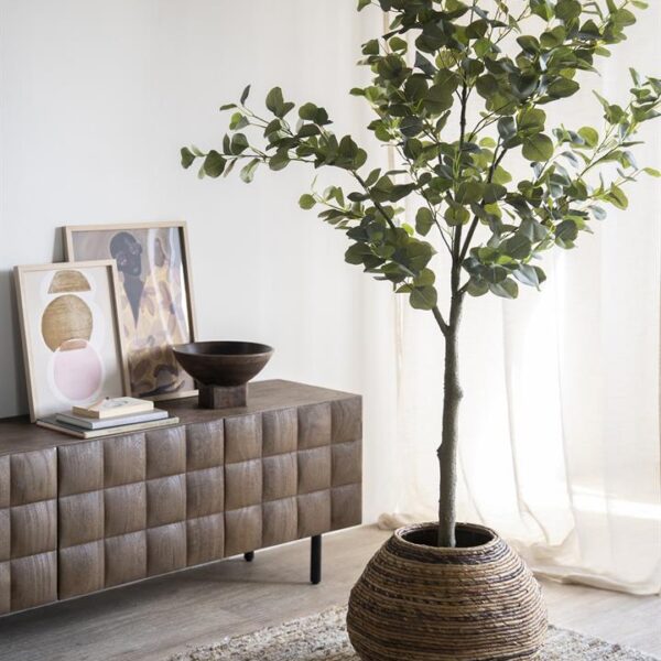 Planter Benti