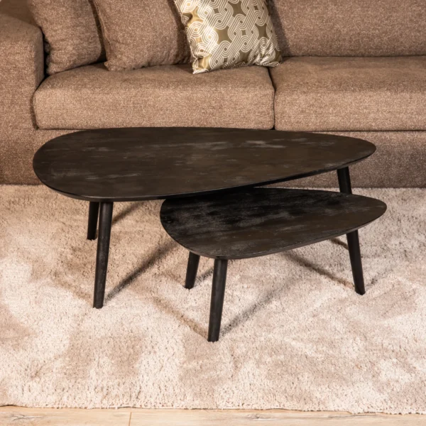 Tweedelige-Salontafelset-Sophie-Zwart-5-scaled Tweedelige Salontafelset Sophie - Zwart