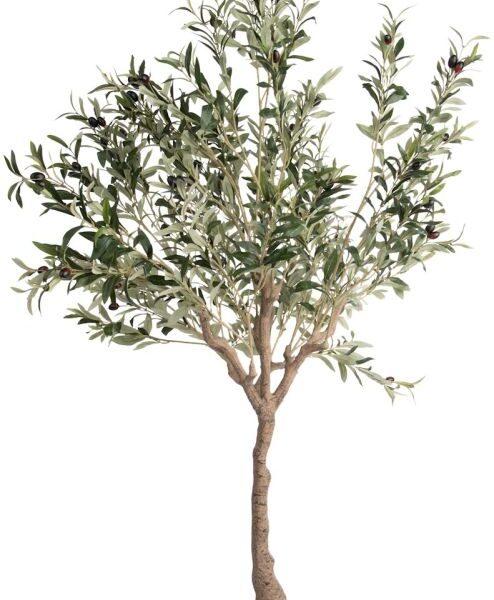 Olive Tree H150cm kunstplant - Groen