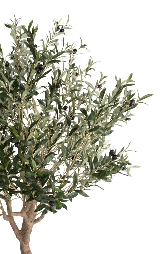 Olive Tree H150cm kunstplant - Groen - Afbeelding 5