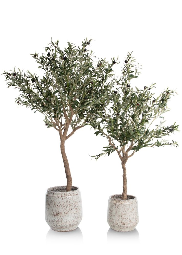 Olive Tree H150cm kunstplant - Groen - Afbeelding 7