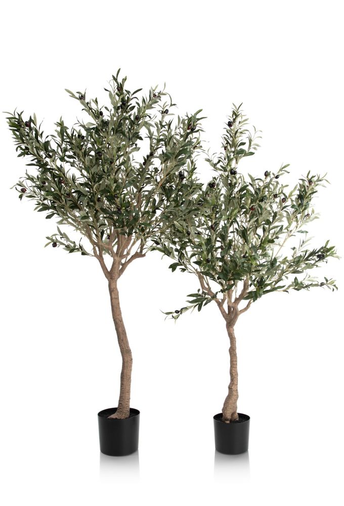 Olive Tree H150cm kunstplant - Groen - Afbeelding 9