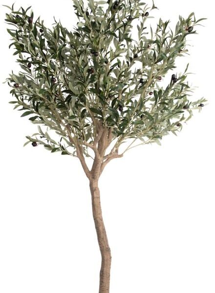 Olive Tree H180cm kunstplant - Groen