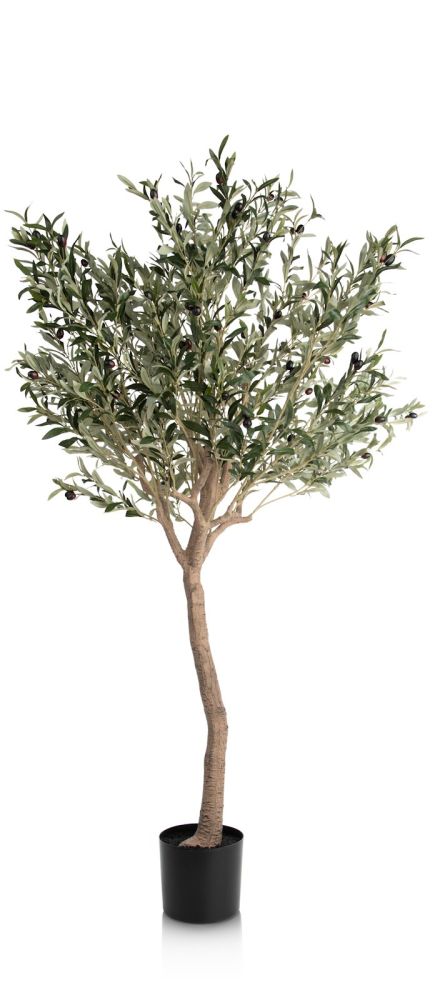 Olive Tree H180cm kunstplant - Groen