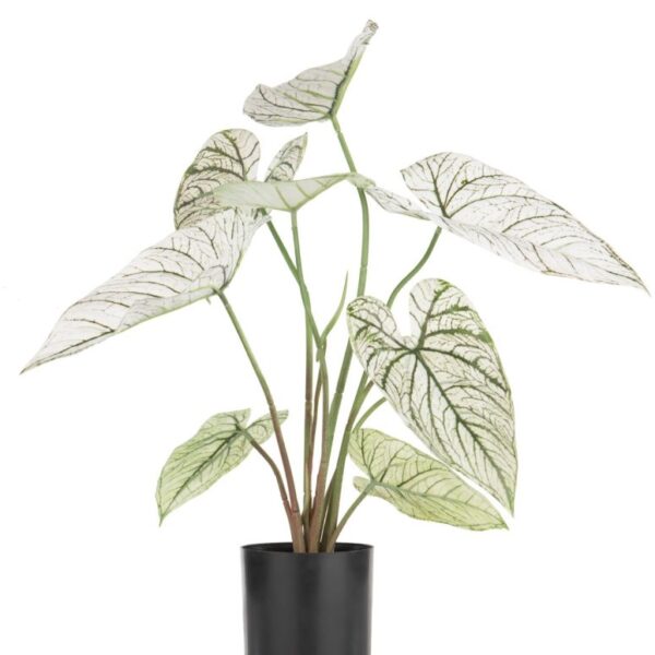 Caladium H60cm kunstplant - Groen