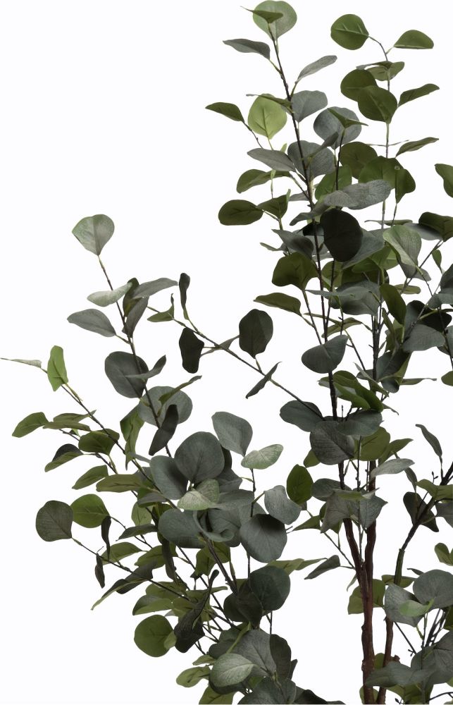 Eucalyptus Tree kunstplant H140cm - Groen - Afbeelding 3