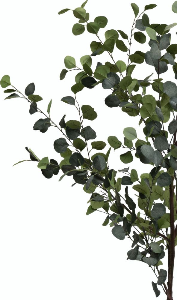 Eucalyptus Tree kunstplant H180cm - Groen - Afbeelding 3