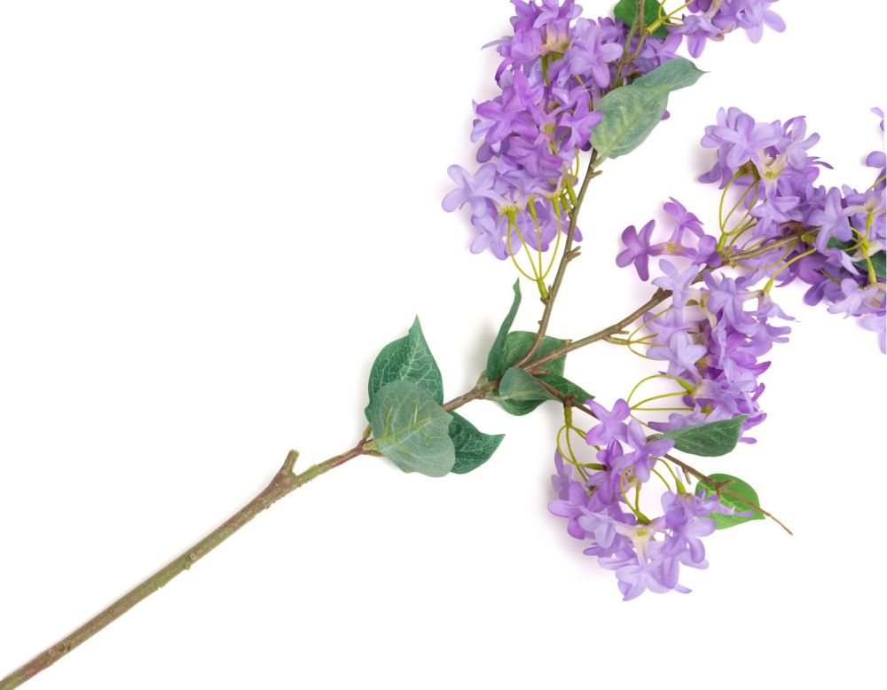 Jasmin Branch kunstbloem H115cm - Afbeelding 3