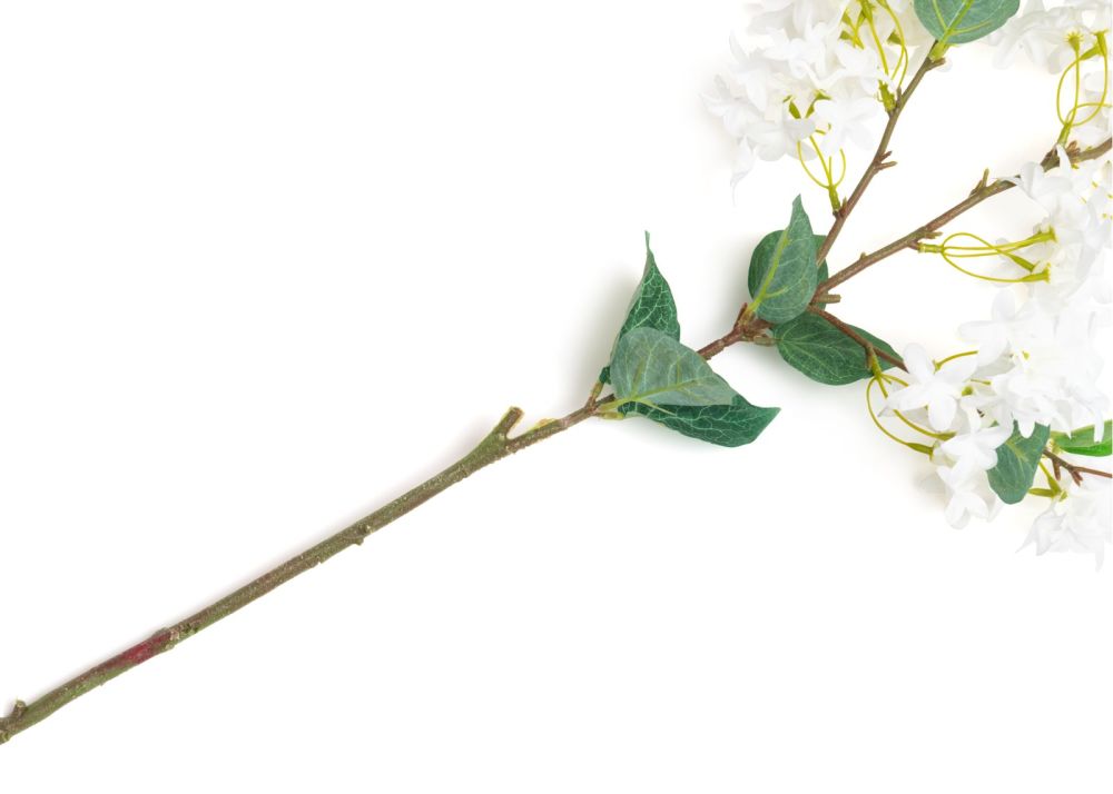 Jasmin Branch kunstbloem H115cm - Afbeelding 6
