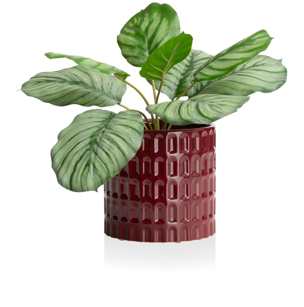 Bisko pot H16.5cm - Bordeaux - Afbeelding 6