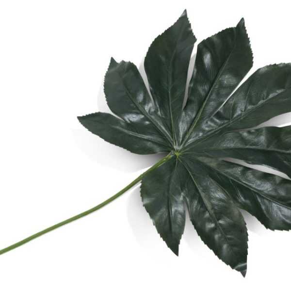 image Fatsia Leaf kunstbloem H55cm - Groen
