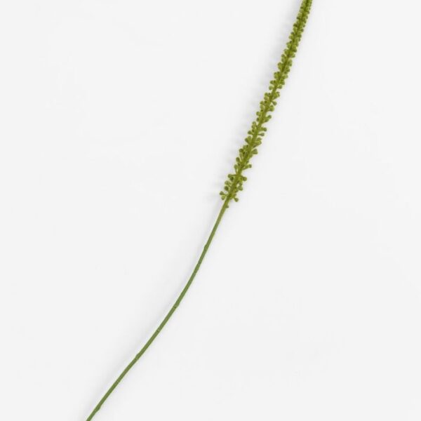 Donkey Tail kunstbloem H86cm - Groen