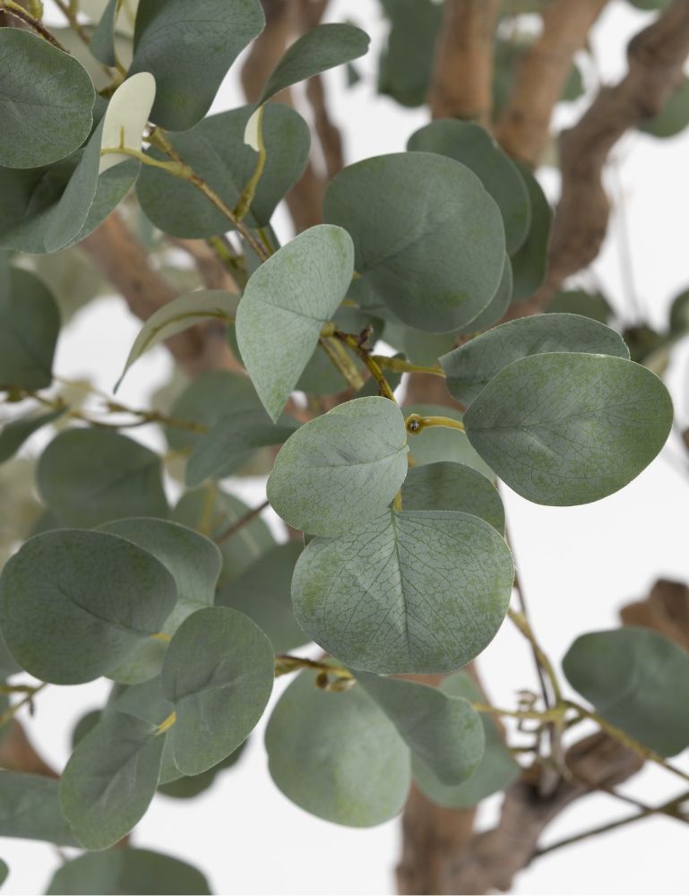 Eucalyptus Tree kunstplant H240cm - Groen - Afbeelding 2