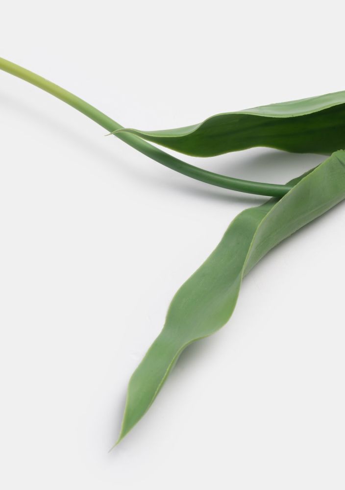 Tulip parrot kunstbloem h68cm - Geel - Afbeelding 3
