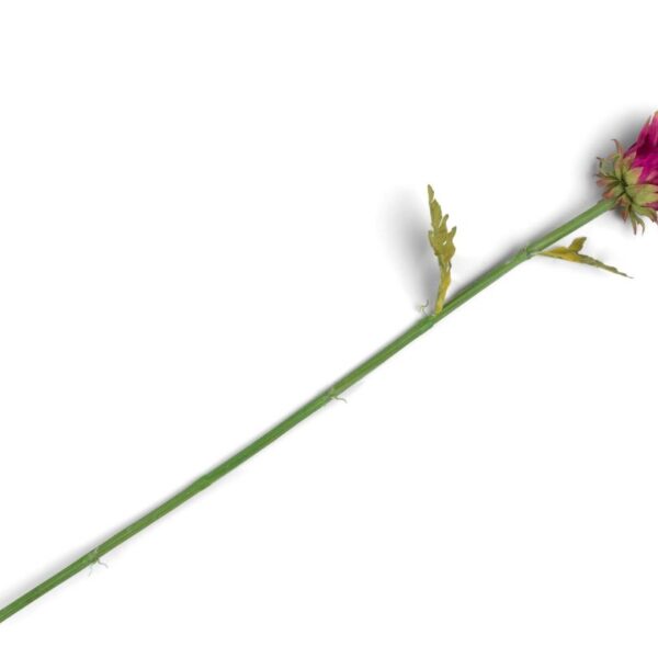 image Artichoke Stem H80cm - Roze