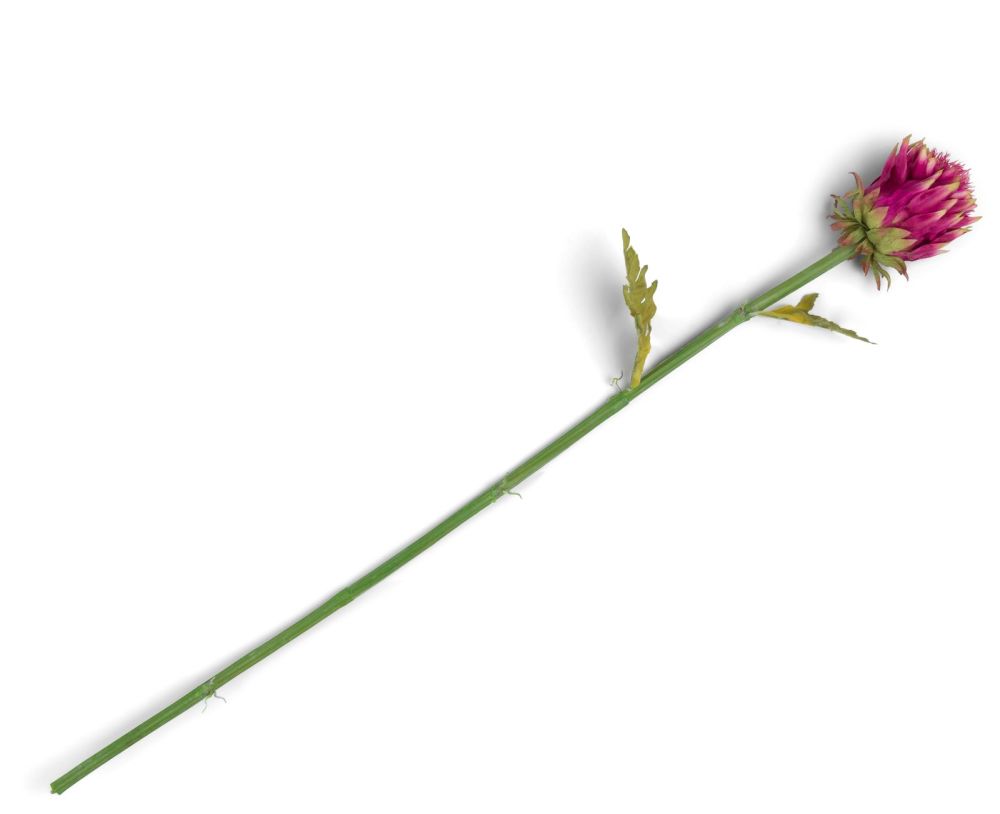 Artichoke Stem H80cm - Roze