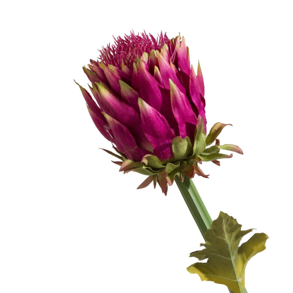 Artichoke Stem H80cm - Roze - Afbeelding 3