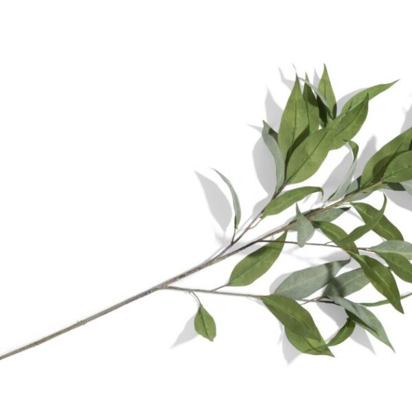 image Eucalypthus Spray H93cm - Groen