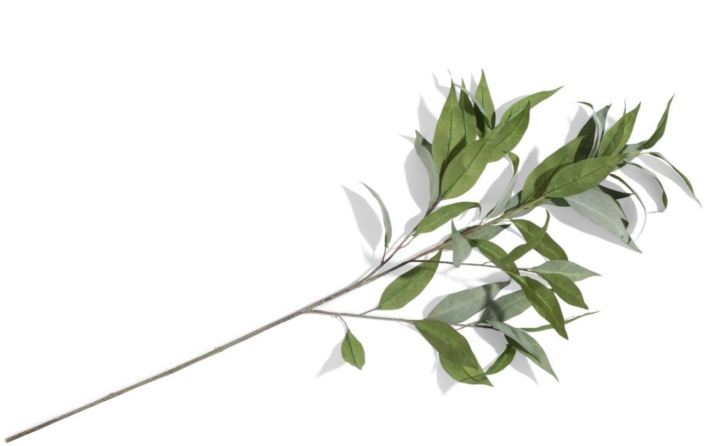 Eucalypthus Spray H93cm - Groen