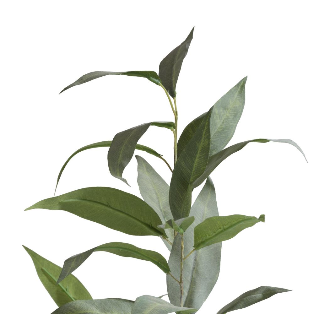 Eucalypthus Spray H93cm - Groen - Afbeelding 3