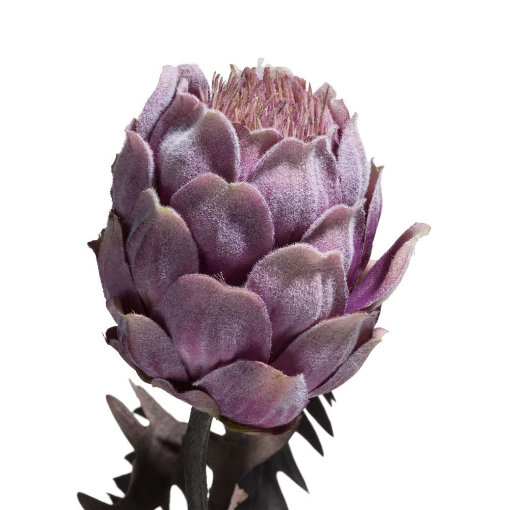 Protea Spray H63cm - Paars - Afbeelding 3