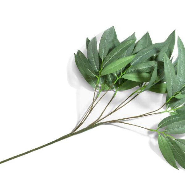 Eucalyptus branch H95cm - Groen