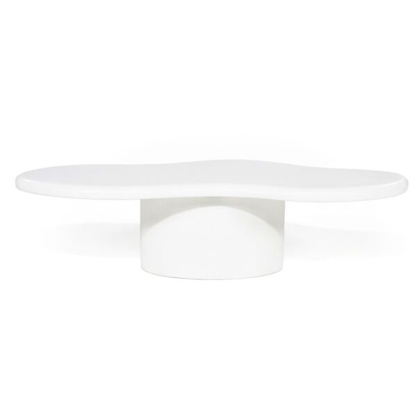 230130 Coffee table Seki
