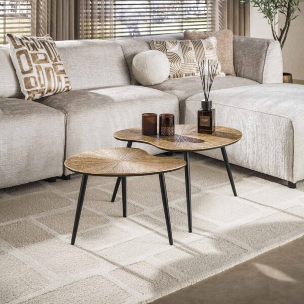Salontafel Ray niervormig set/2