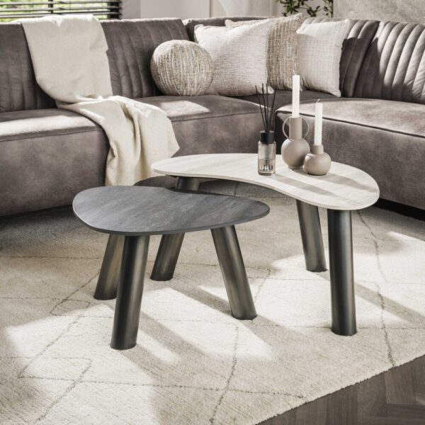 Salontafel Twin organisch set/2