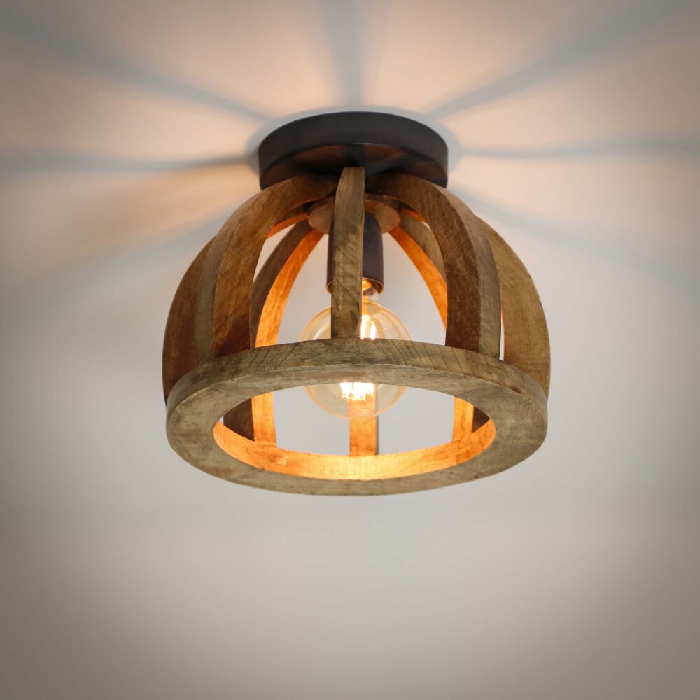 Plafondlamp Orba 1L