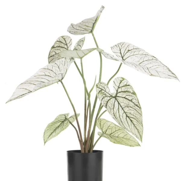 Caladium H60cm kunstplant - Groen