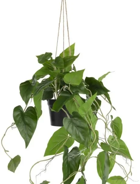 image-1279-jpg Philodendron Scandens H80cm kunstplant - Groen