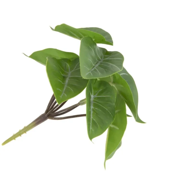 image-1289-jpg Anthurium Mini Bush H13cm kunstbloem - Groen