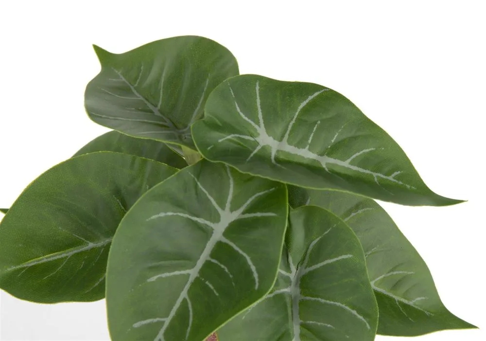 Anthurium Mini Bush H13cm kunstbloem - Groen - Afbeelding 3