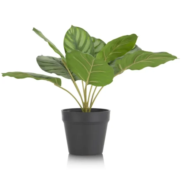 Calathea Orbifolia H45cm kunstplant - Groen