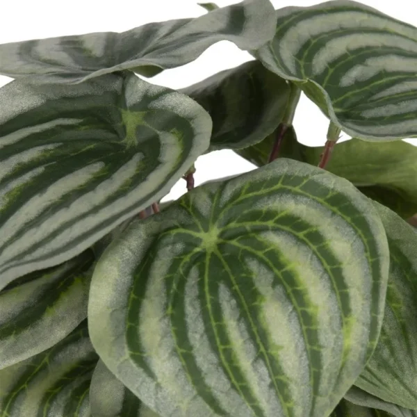 image-1307-jpg Peperomia Bush H25cm kunstbloem - Groen