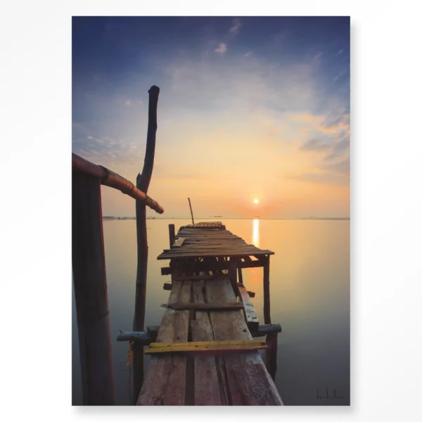 Sun shy cirebon