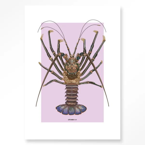 Langosta