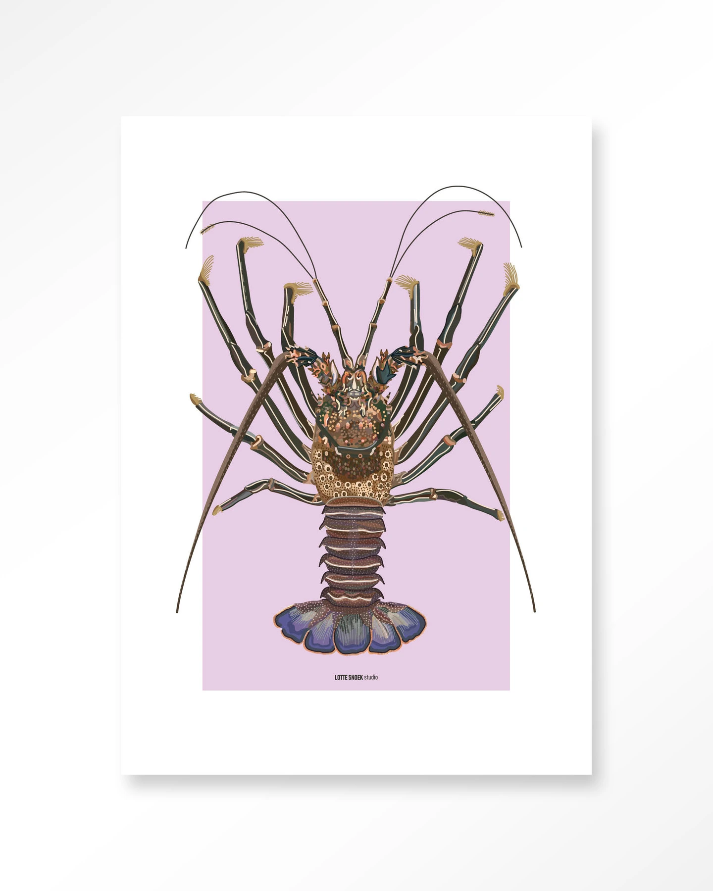Langosta