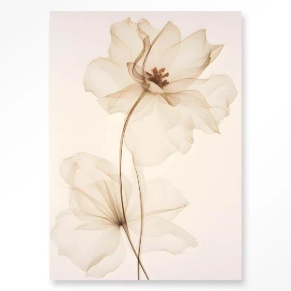 White Flowers