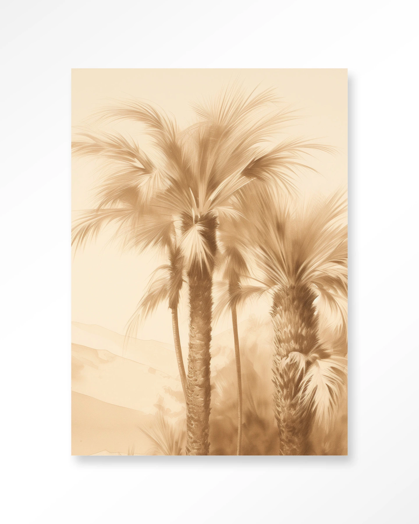 Desert Mirage
