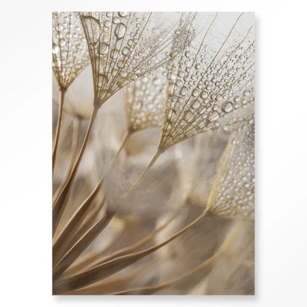 Natuurlijke Abstractie