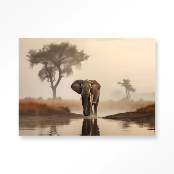 Savannah Elephant