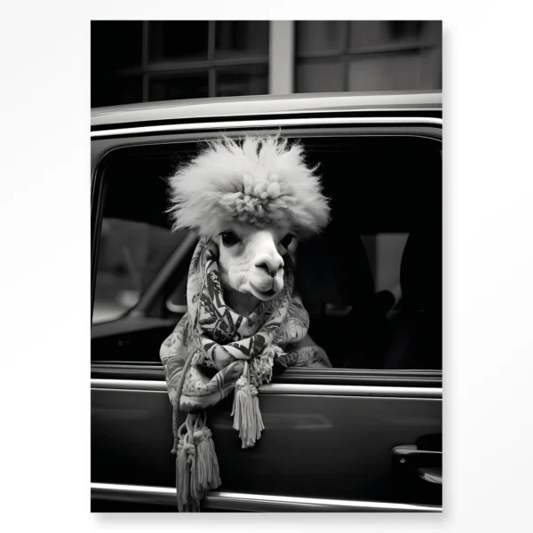 Alpaca In Taxi