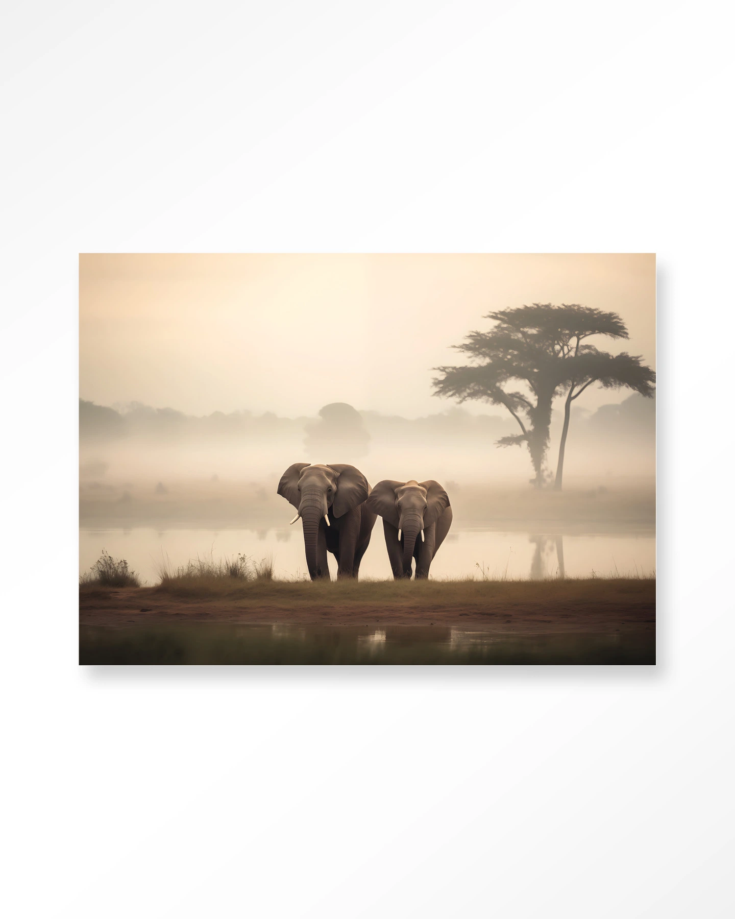 Elephant Mother