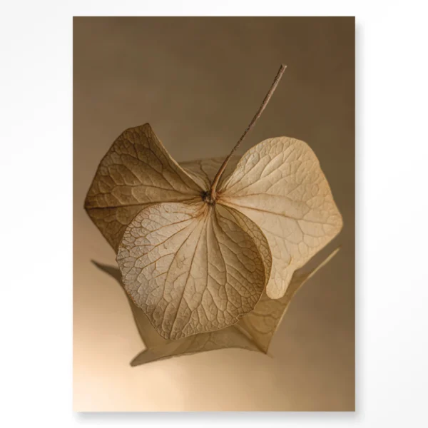 Leaf Me: Sheltered