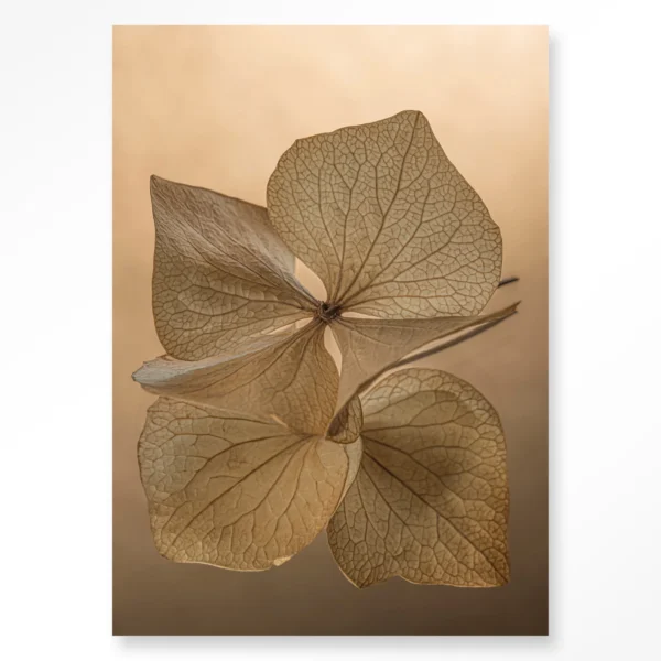 Leaf Me: Unfolded