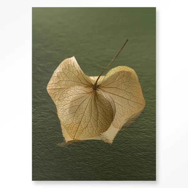 Leaf Me: In The Green