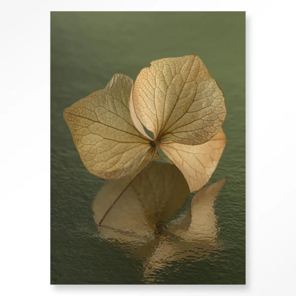 Leaf Me: In Reflection
