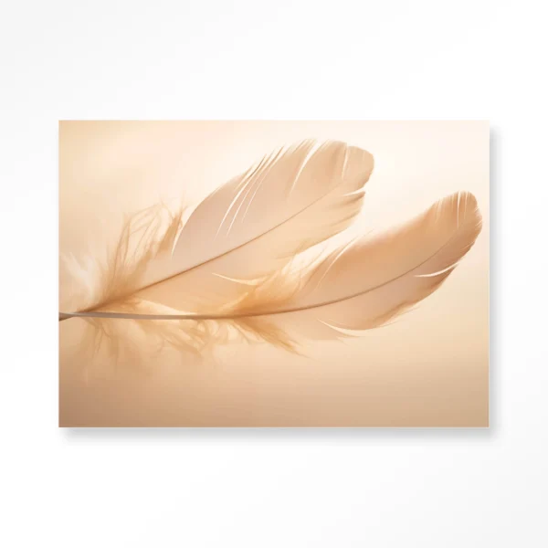 Light Feather